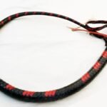 Untitled design (40)