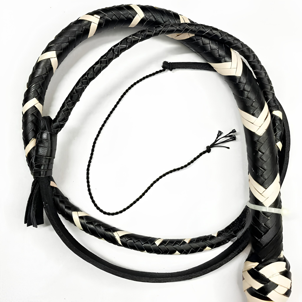 Untitled design (22)