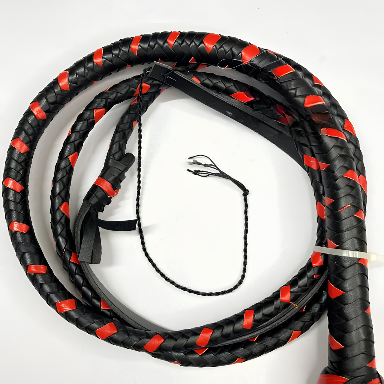 Untitled design (54)