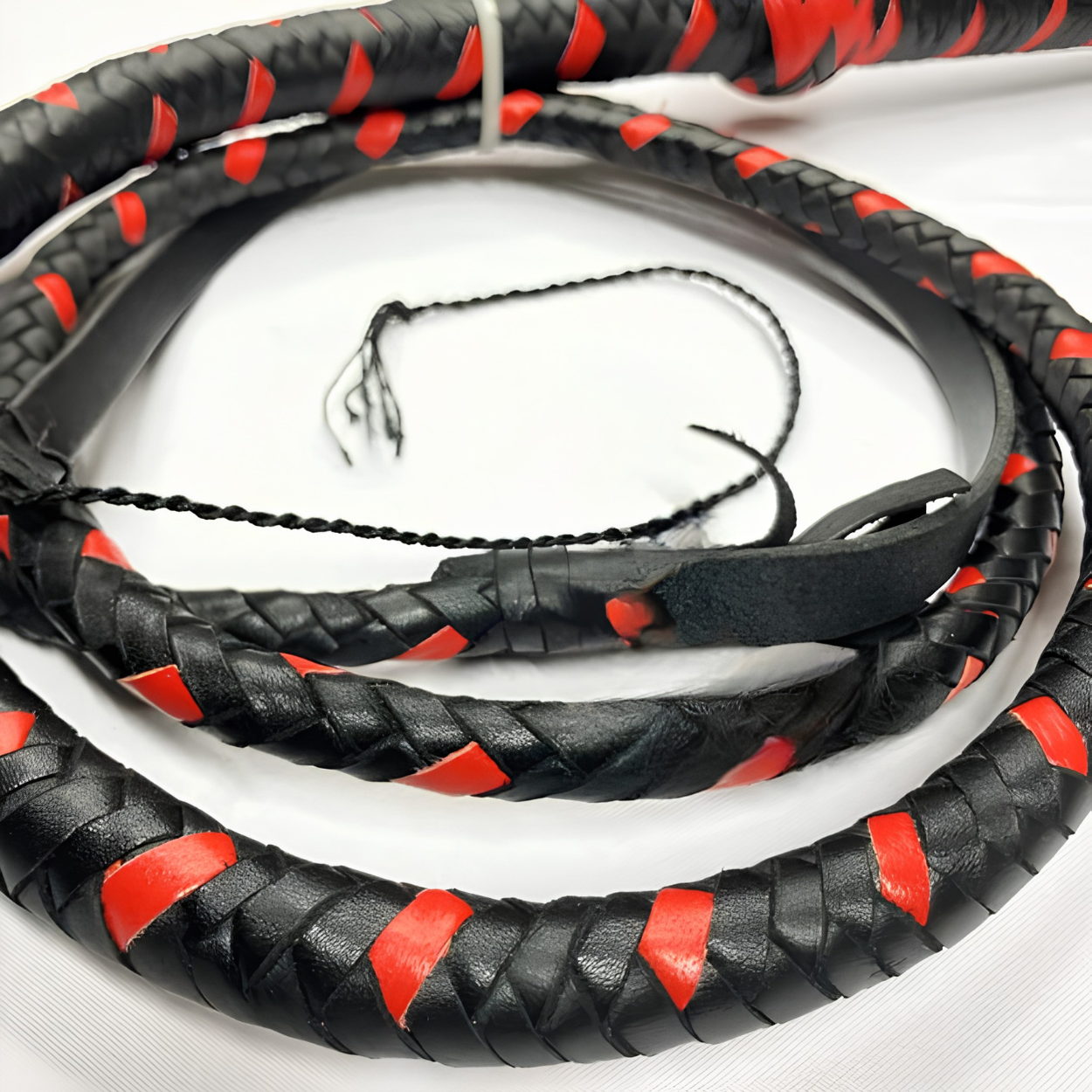 Untitled design (56)