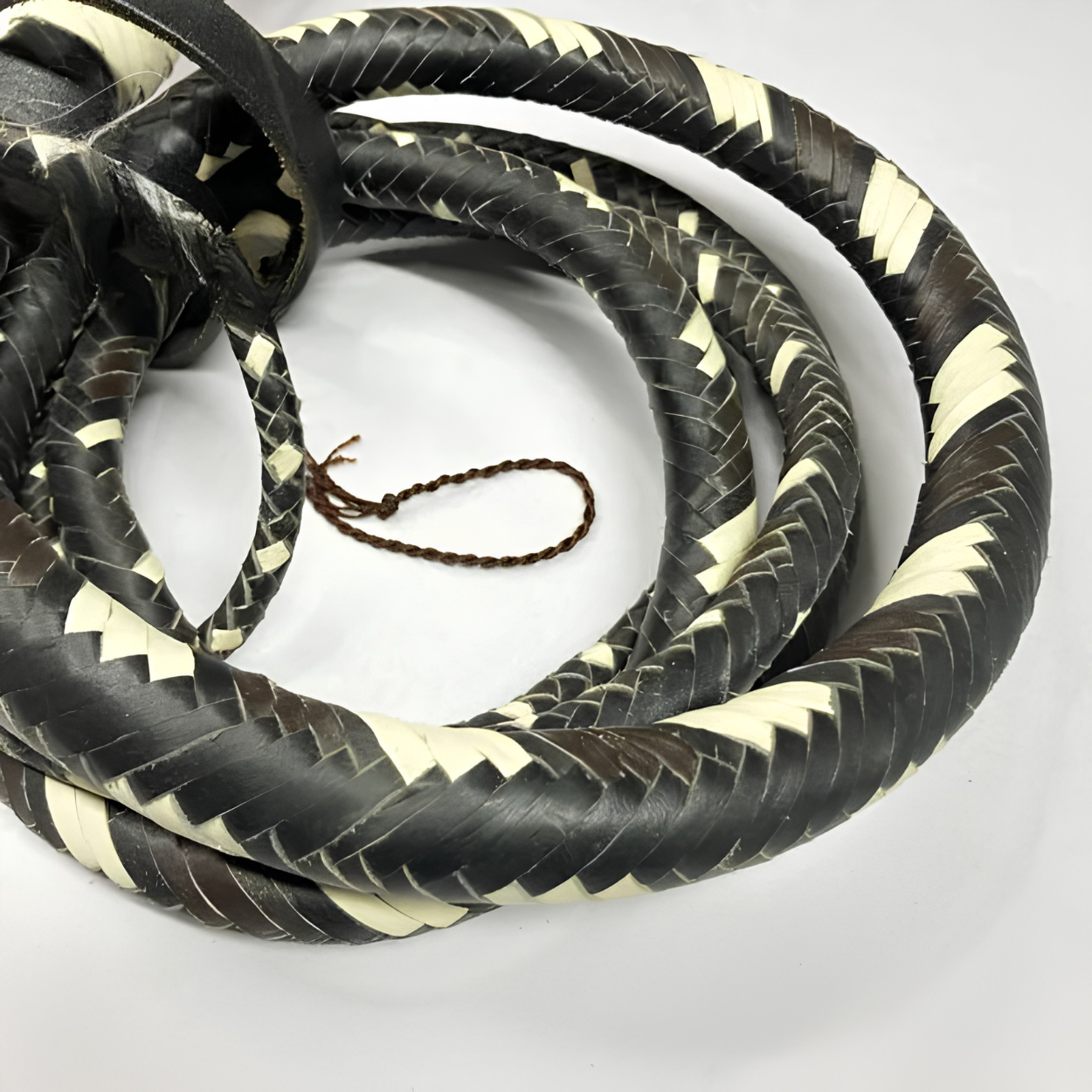 Untitled design (59)