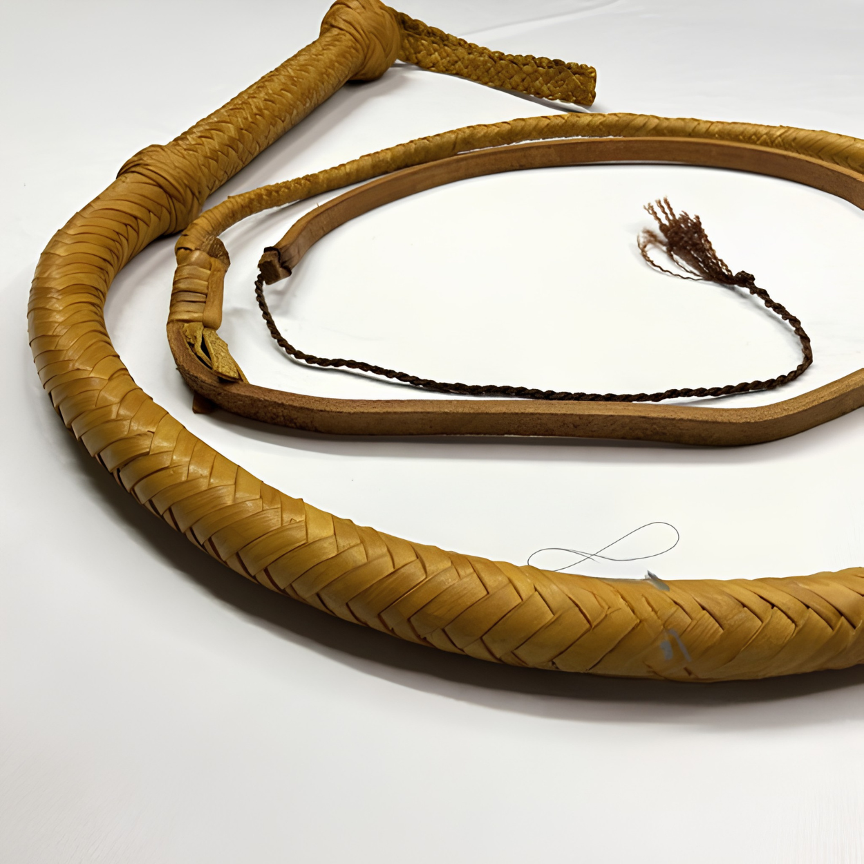 Untitled design (75)